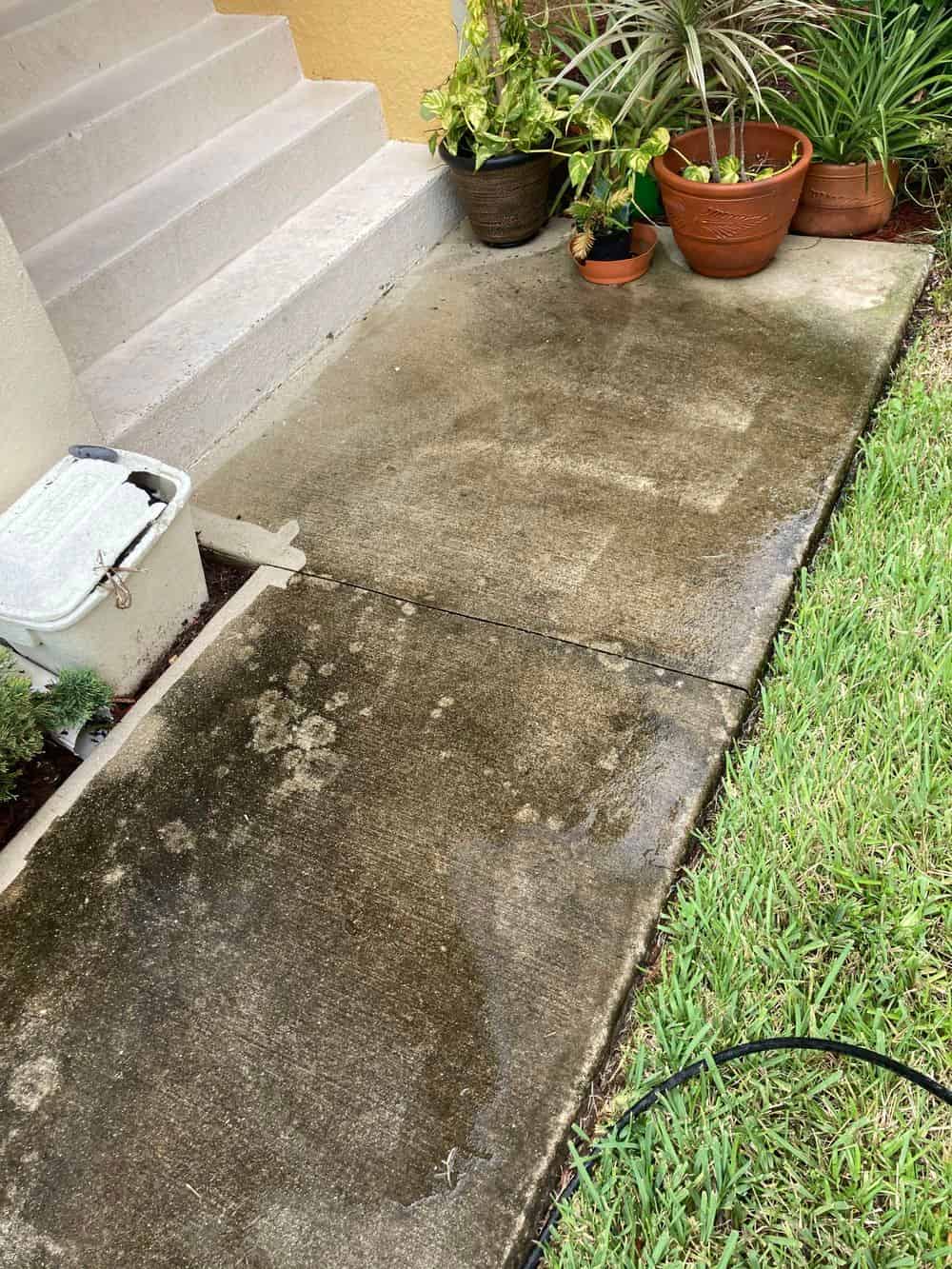 Stump Removal image