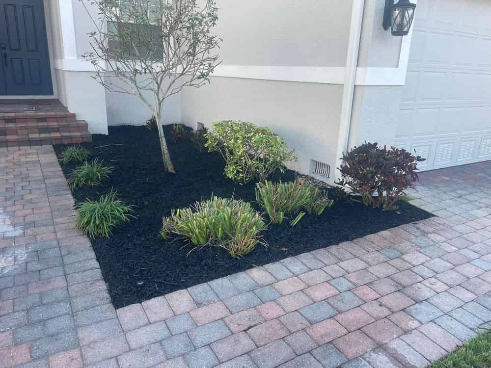 Mulching image