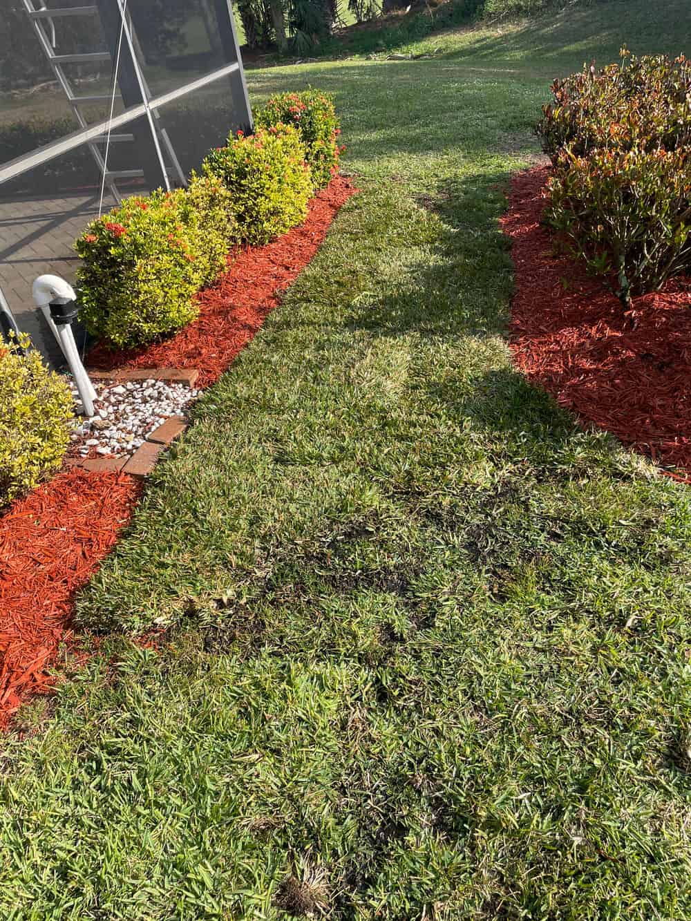 Sod Installation image