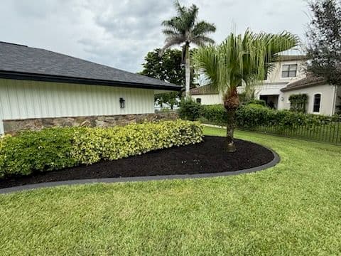 Gallery photos for Stunning Cleanup and Mulching in Fort Myers: Image #3