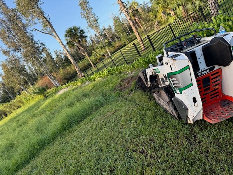 Weed Clearing and Mulch Beautification in Fort Myers image
