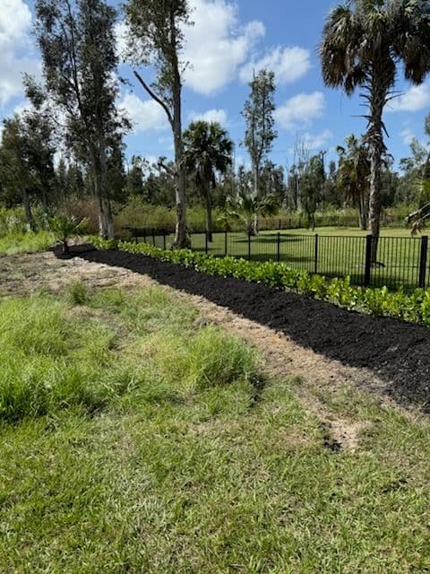 Gallery photos for Weed Clearing and Mulch Beautification in Fort Myers: Image #1