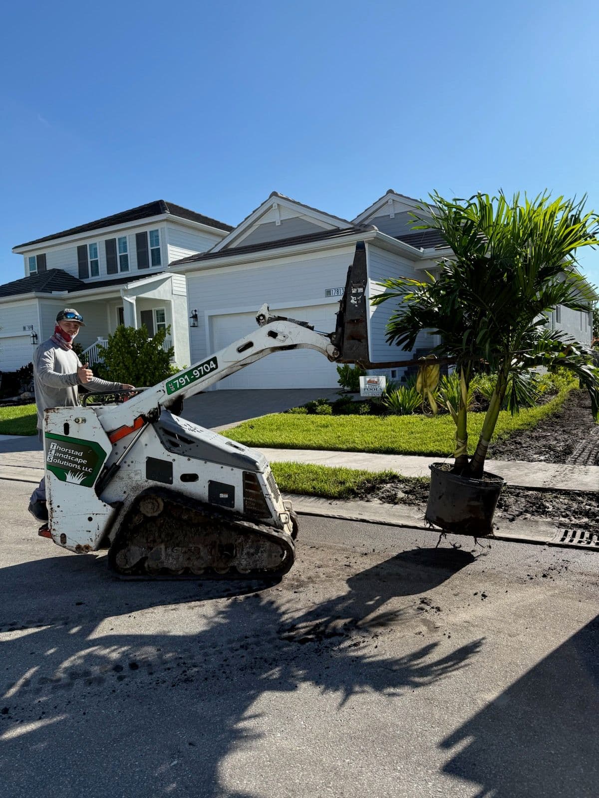Bringing Lush Palm Trees to South Fort Myers Neighborhoods