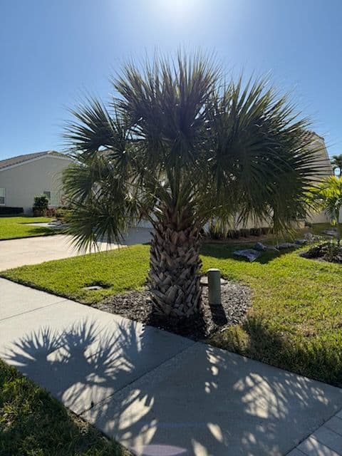 Project Stunning Landscape Installation at a Suburban Fort Myers Residence image