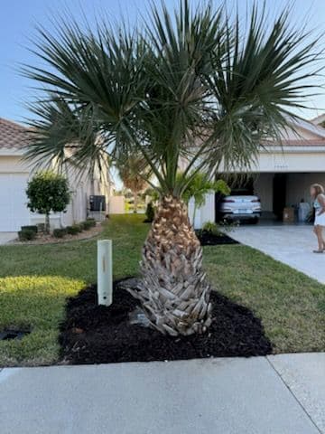 Gallery photos for Stunning Landscape Installation at a Suburban Fort Myers Residence: Image #1