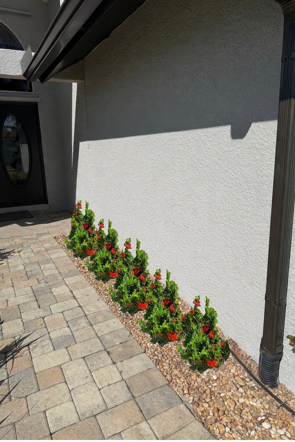 Project Vibrant Garden Design with Red Blossoms image