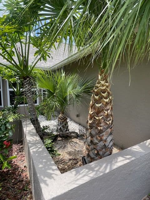 Gallery photos for Transform Your Landscape with Expert Tree Trimming: Image #2