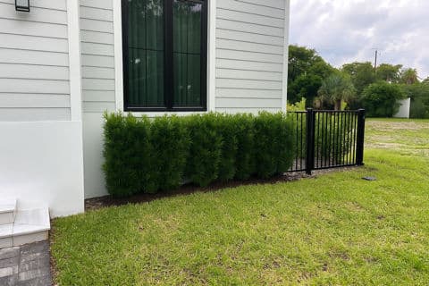 Stunning Naples Landscape Makeover with Hedging