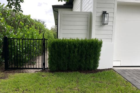 Stunning Naples Landscape Makeover with Hedging