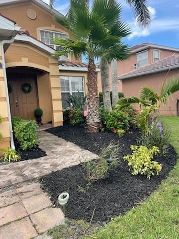 Stunning Mulch Transformation in Fort Myers