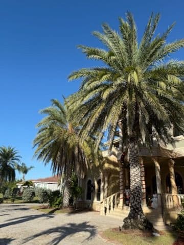 Gallery photos for Palm Tree Pruning for a Luxurious Home in Fort Myers: Image #2