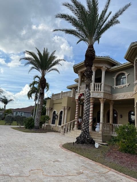 Gallery photos for Palm Tree Pruning for a Luxurious Home in Fort Myers: Image #3